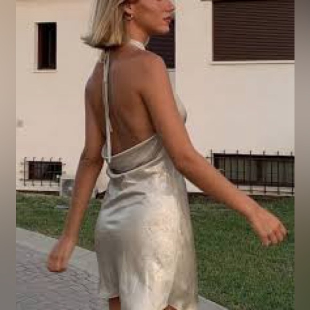 Zara Dress - Picture 2 of 9